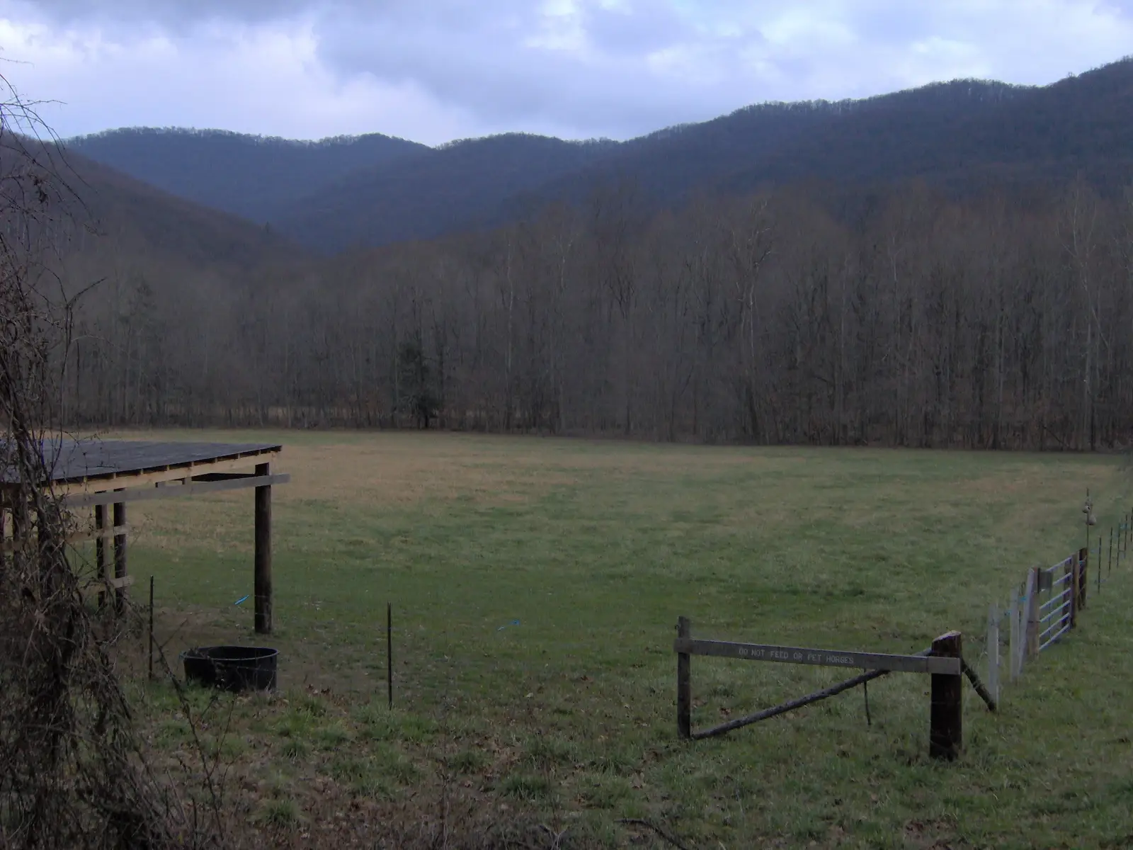 Crab Orchard Mountains from Frozen Head