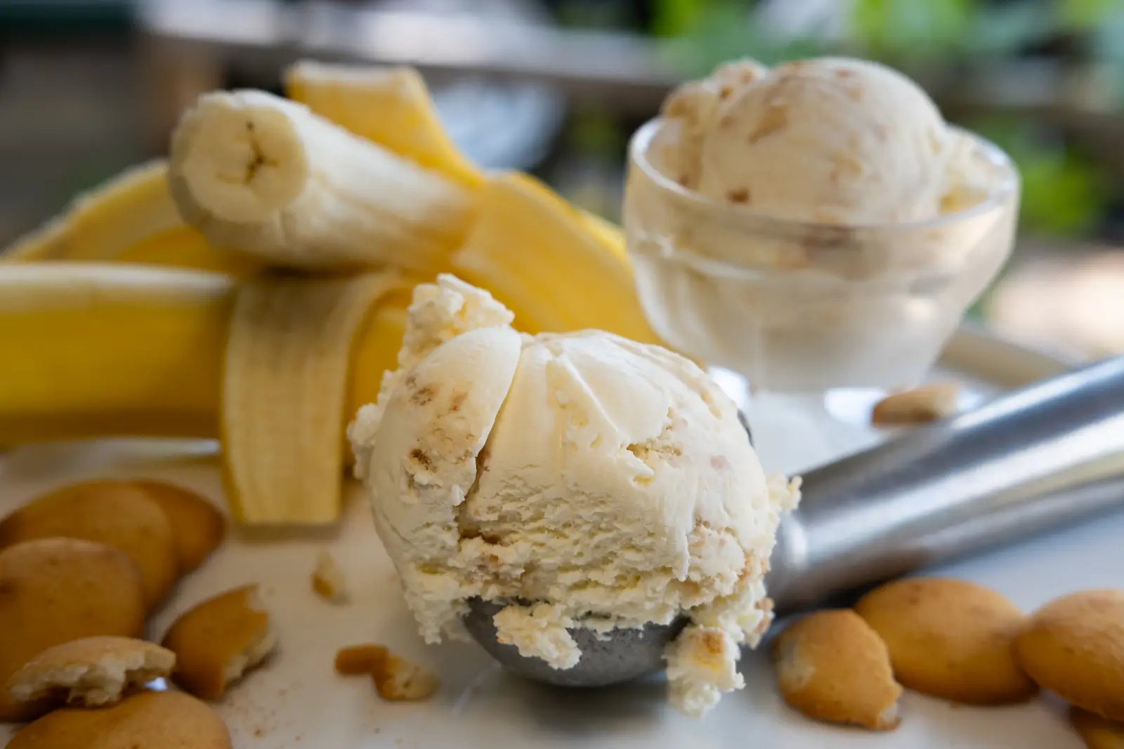 Kids Ice Cream Happy Hour at Tipsy Cow