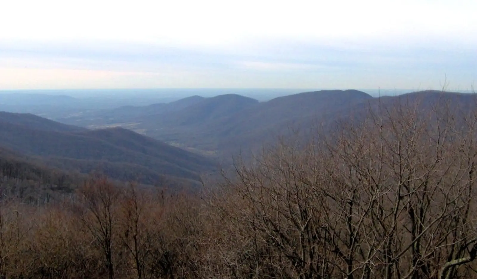 View west from the Frozen Head lookout tower