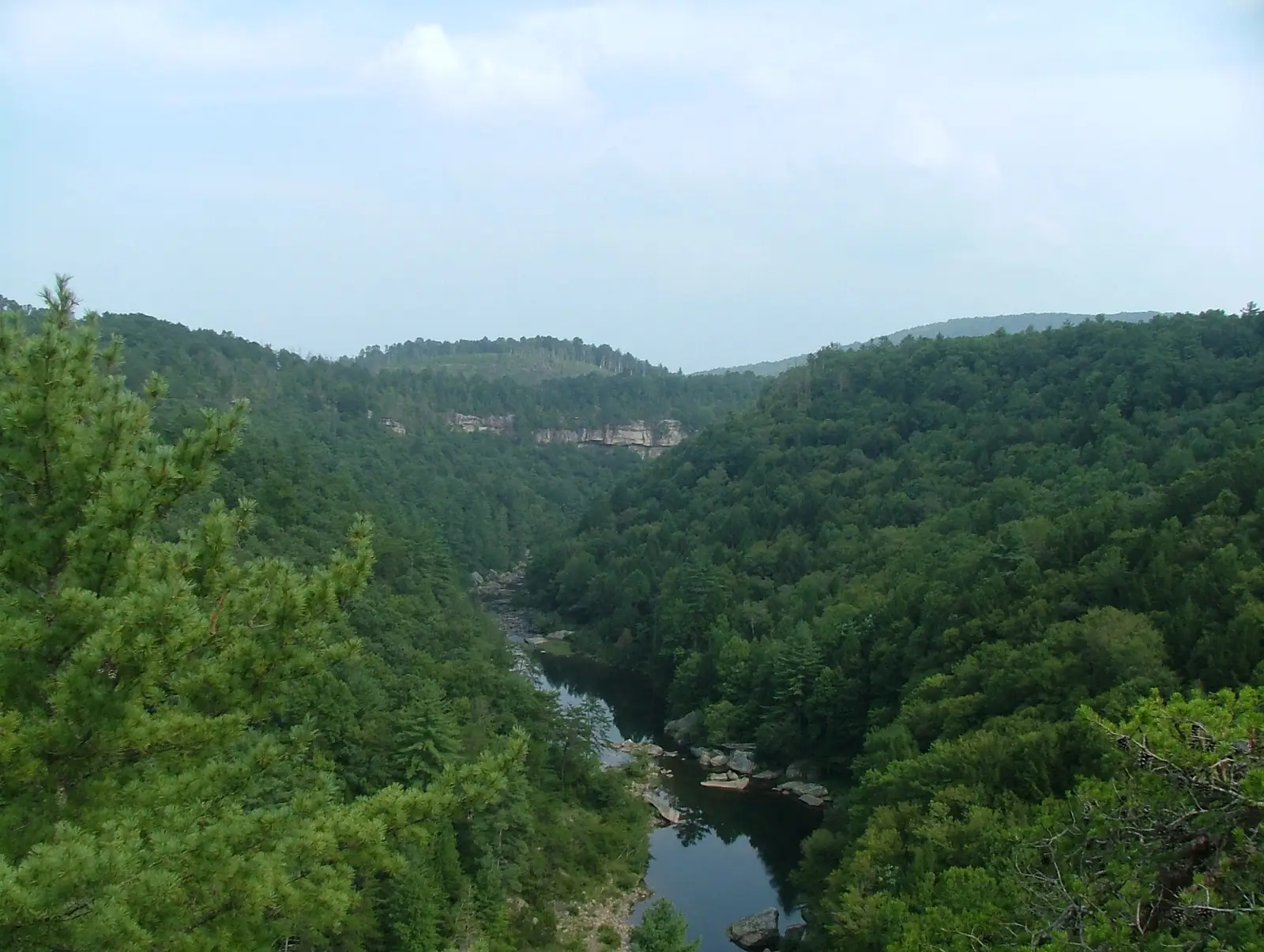 Lilly Bluff overlook on the Obed